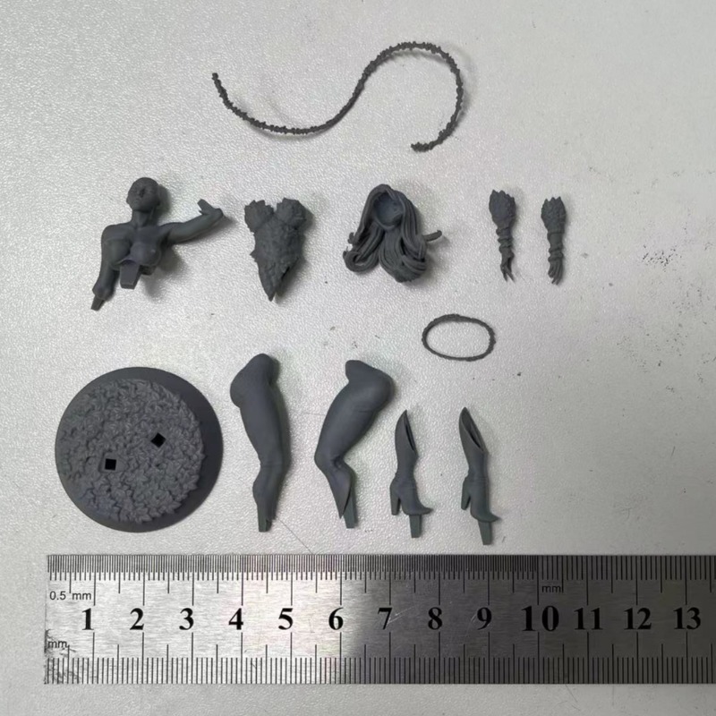 1/24 Schaal Bos Koningin Scien - Science Hobby Kit recensie en prijs