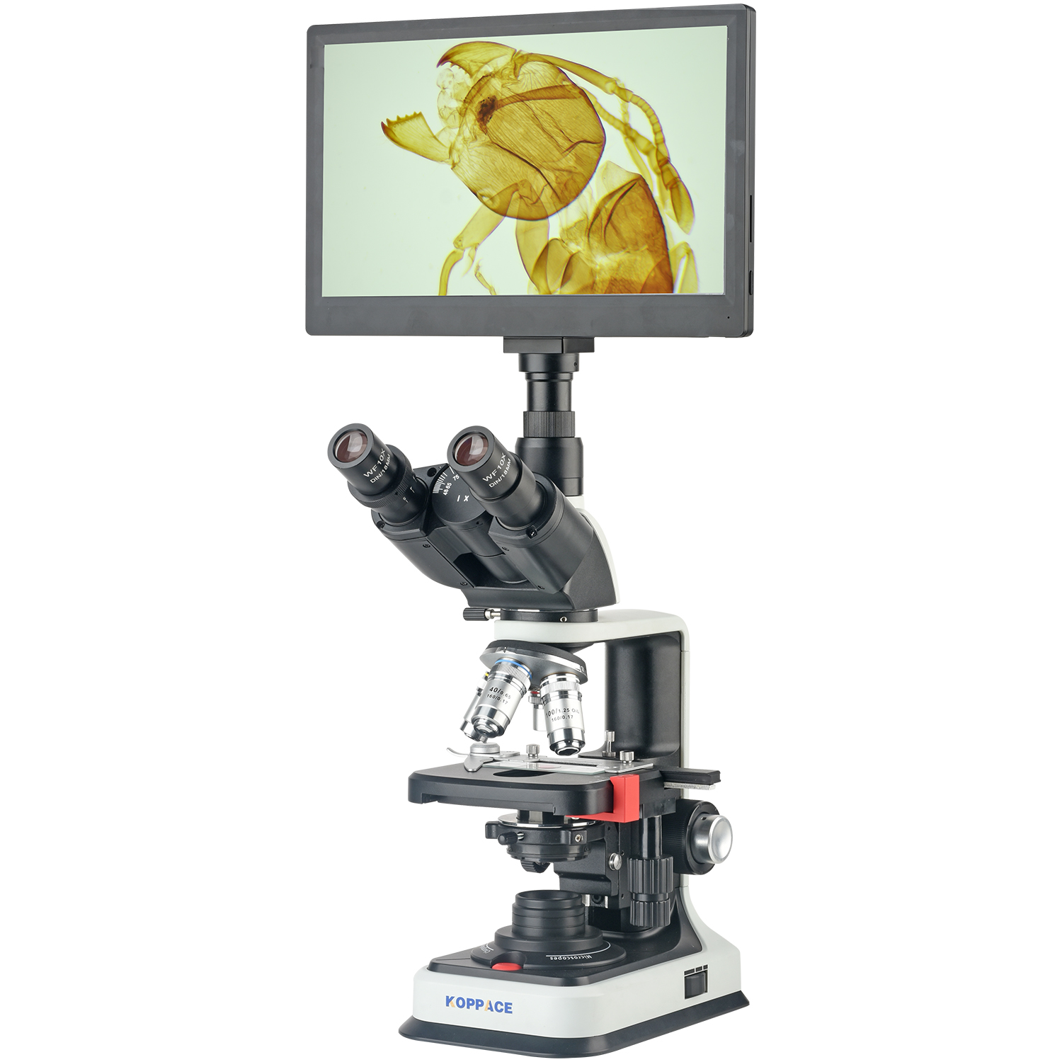 KOPPACE 40X-2500X elektronenco - Microscope Compound 40X recensie en prijs
